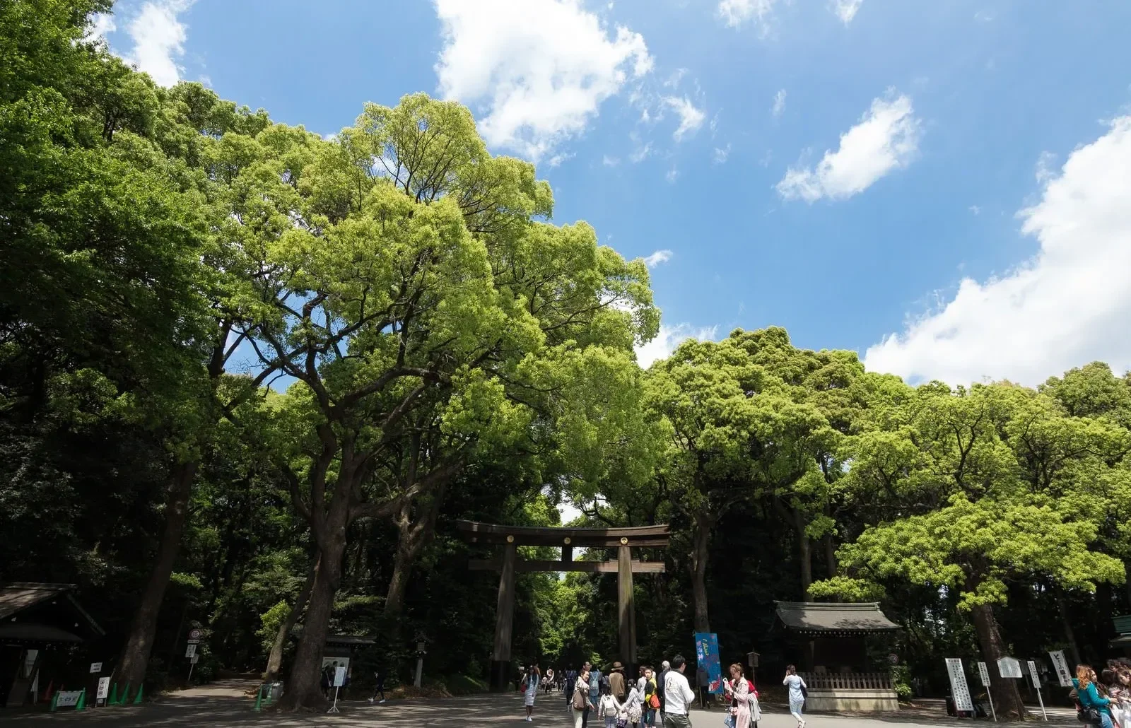 Half Day Trip Shinjuku5