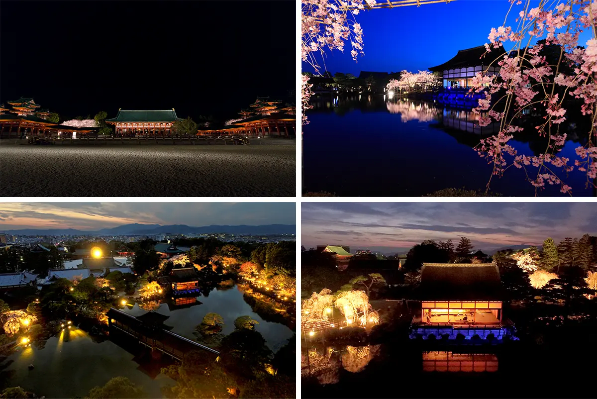 Heian Shrine Sakura Oto Yo