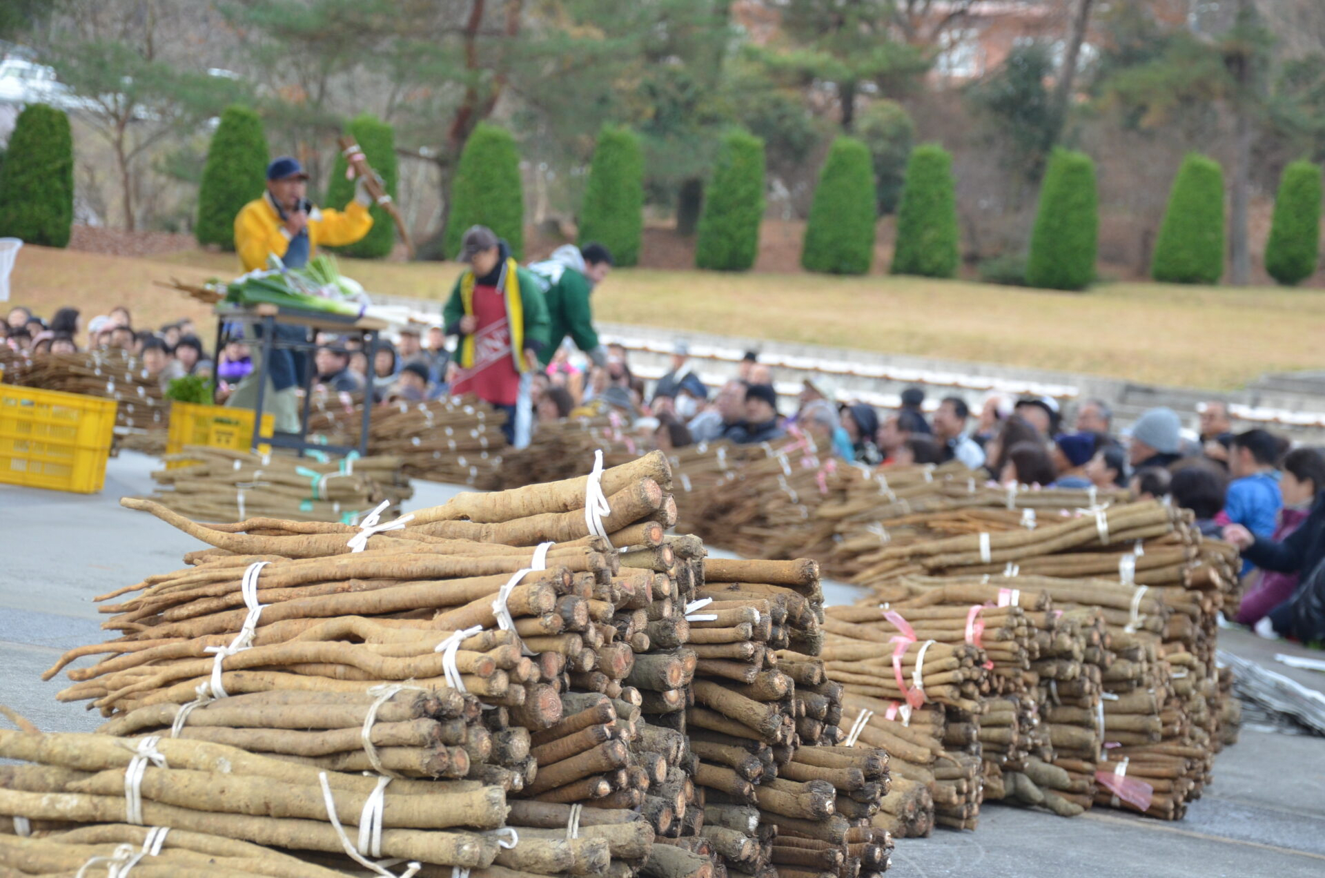 Morota Gonbo Festival