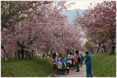Mint Bureau Flower Path