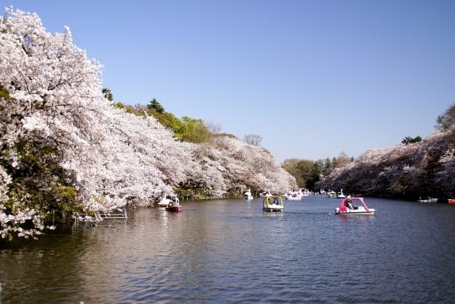 Inokashira Park