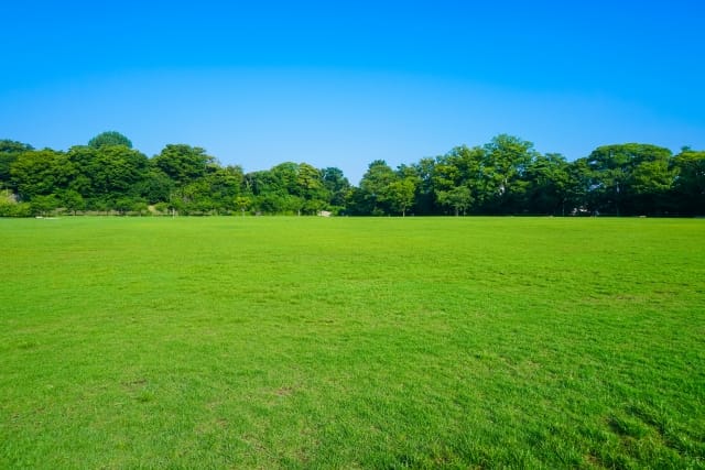Kanazawa Castle Park