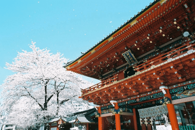 Kanda Myojin Spring Festival