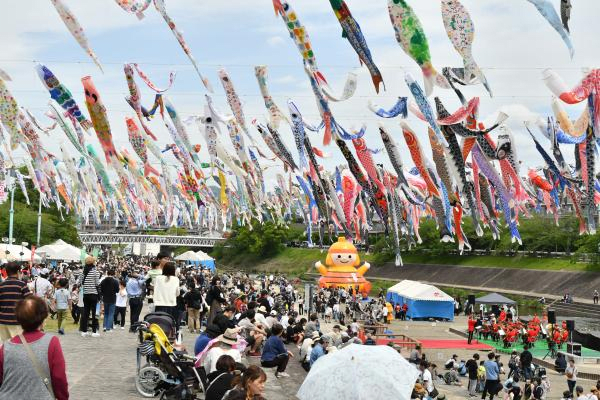 Koinobori Festa 1000