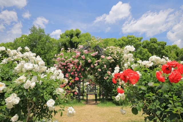 Kyoto Botanical Gardens