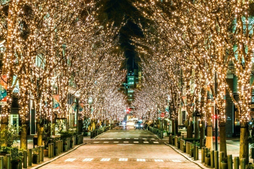 Marunouchi Illumination