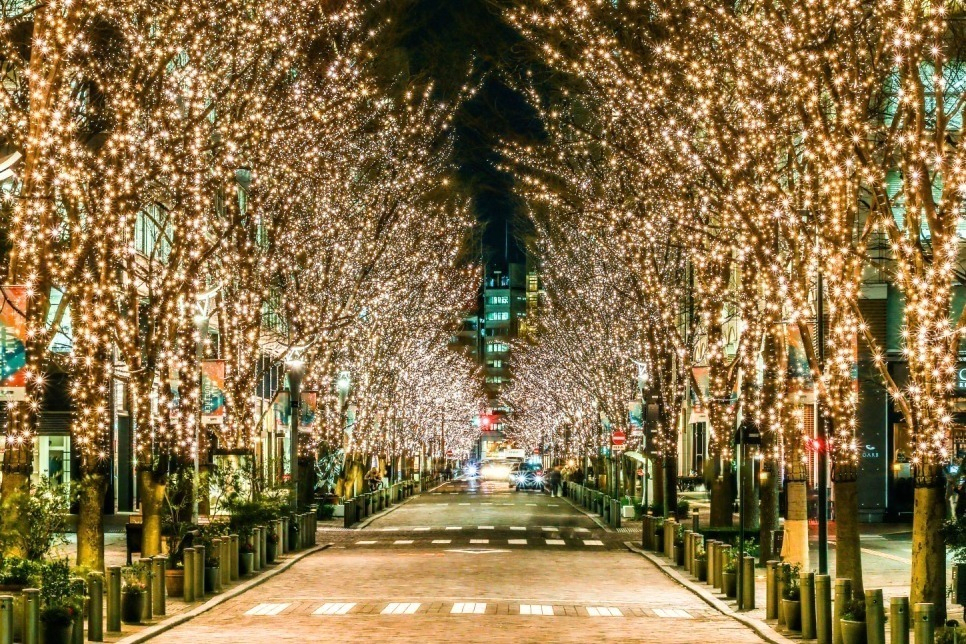 Marunouchi Illumination2