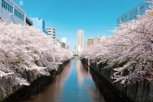 Meguro River