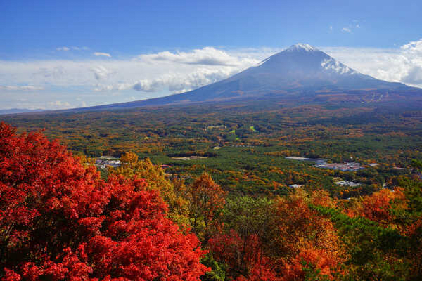 Momijidai