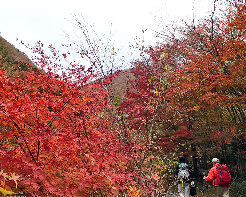 Mt. Kenashi