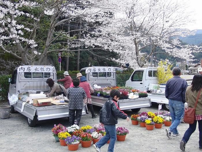 Utsubusa Bamboo Shoots and Cherry Blossom Festival