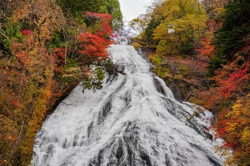 Nikko in Autumn