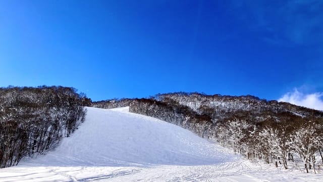 Niseko Hanazono Resort