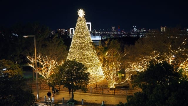 Christmas-Themed Illuminations Can Also Be Enjoyed Together