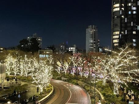 Roppongi Illumination.jpeg