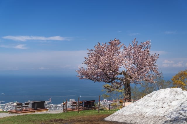 Tenguzakura Observatory