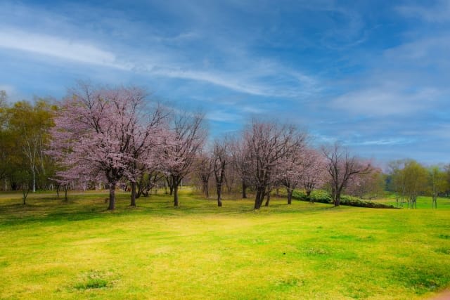 Makomanai Park