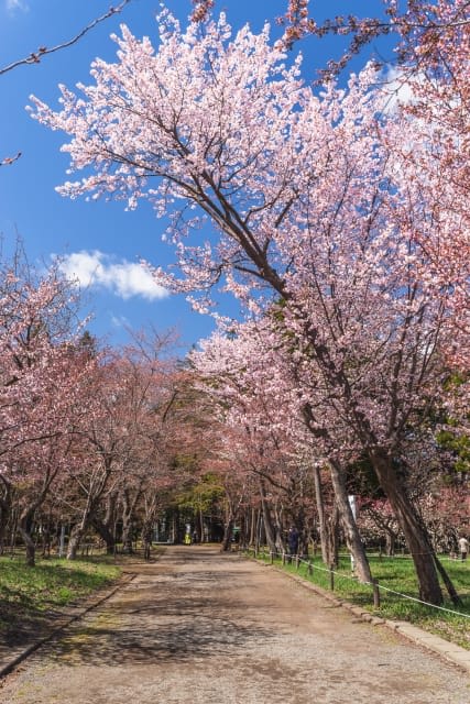 Maruyama Park