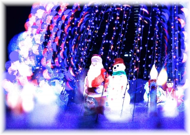 Must-See December Events in Sapporo