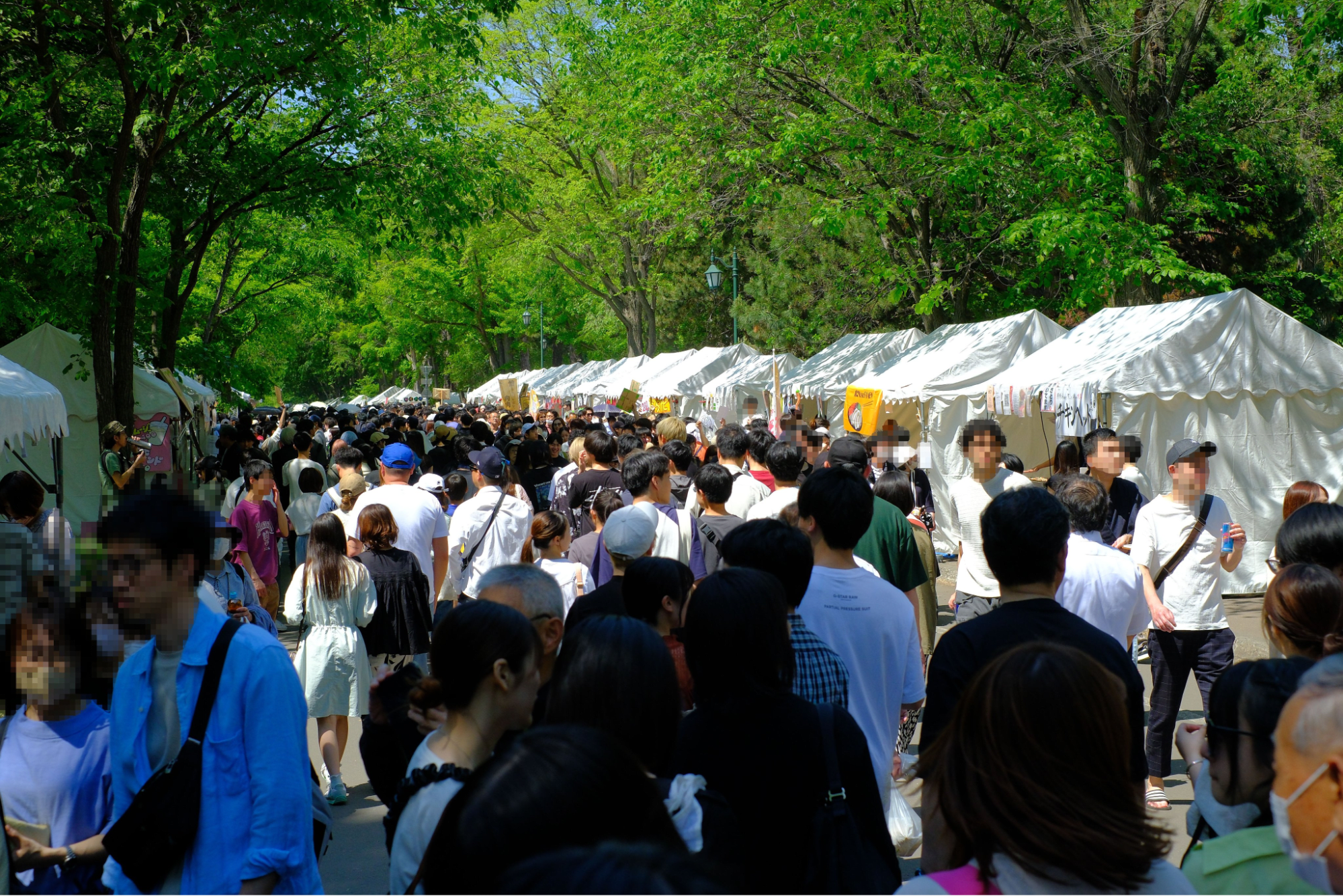 Hokkaido University Hokudai Festival