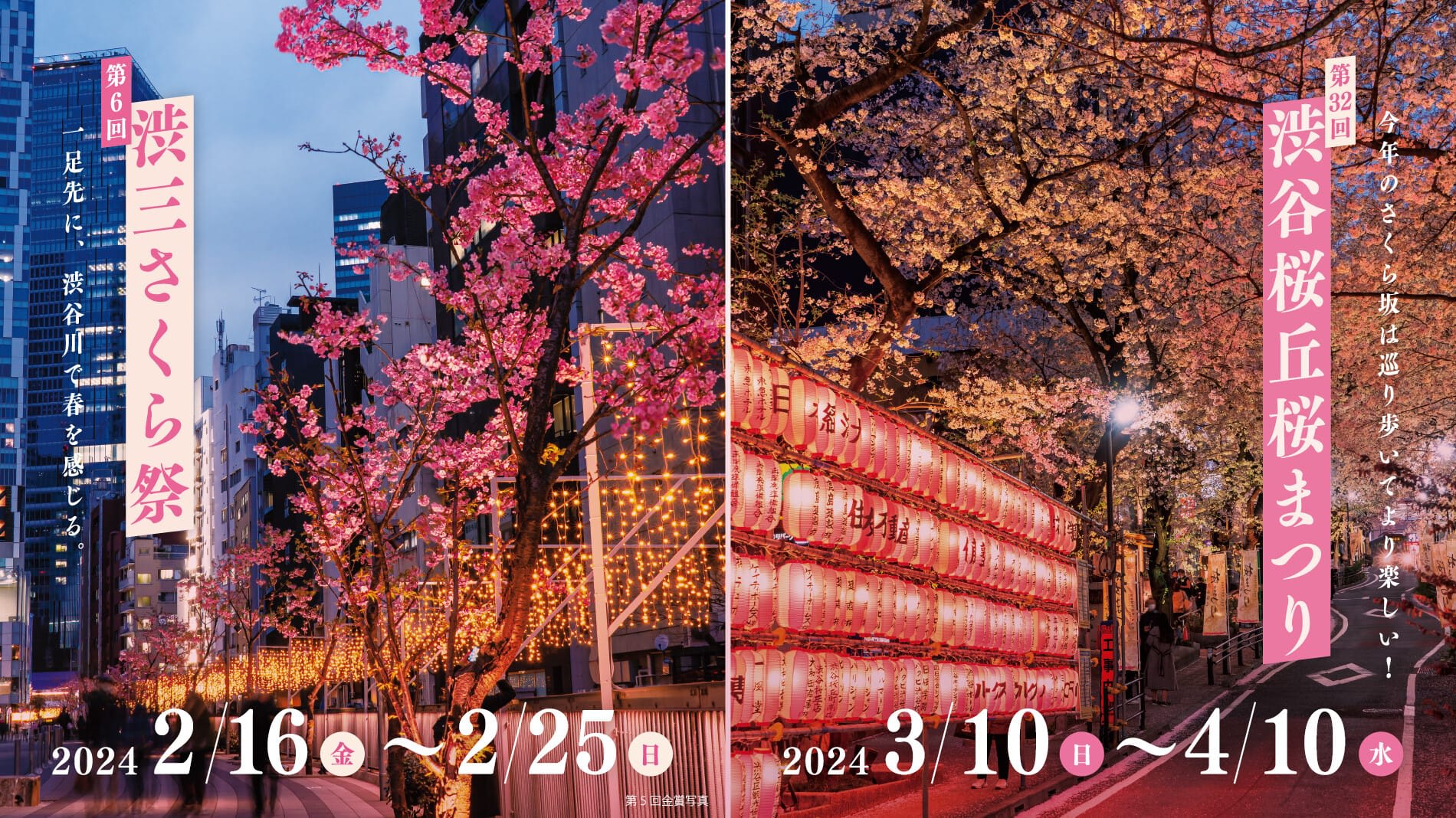 Shibuya Sakuragaoka Sakura Festival