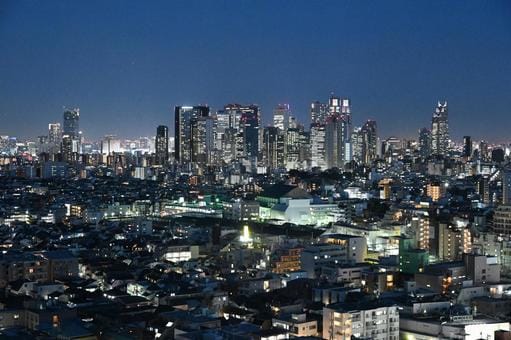 Shinjuku Night View