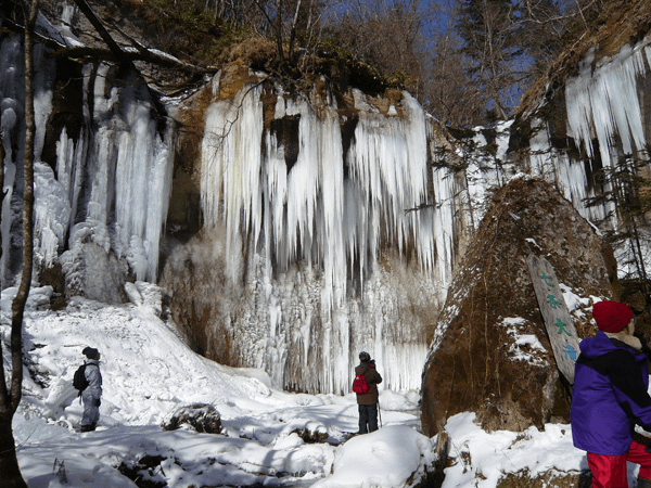 Snowshoe and Snow Trekking
