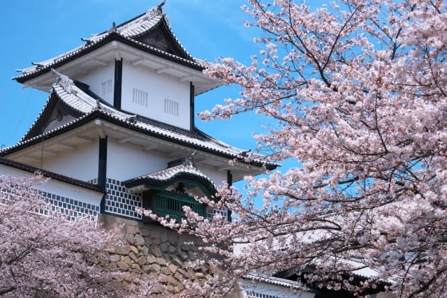 Spring in Kanazawa castle