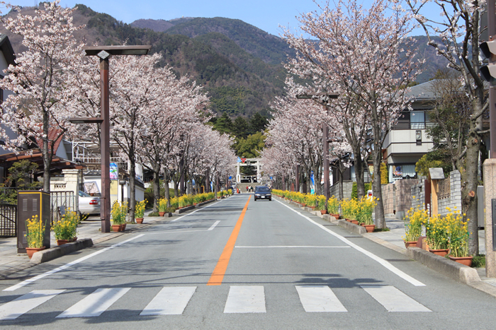 Takeda Shrine and Takeda Street.png