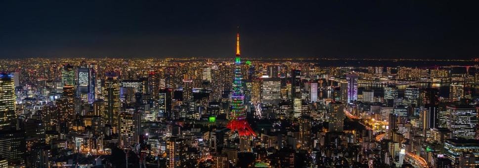 Tokyo Night View