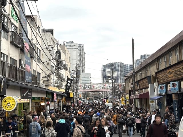If visiting popular stores, arrive at the Tsukiji Fish Market early in the morning