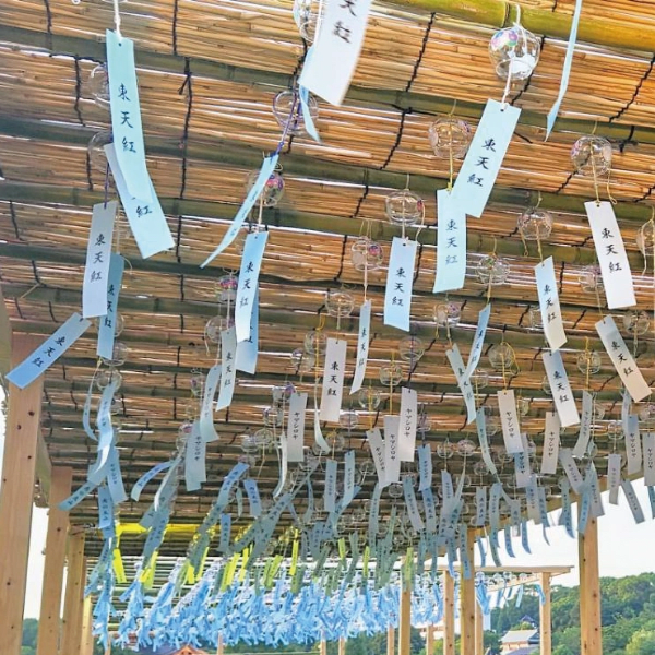 Ueno Summer Festival