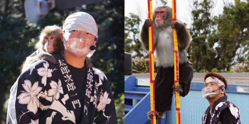 Performance by Nikko Monkey Corps