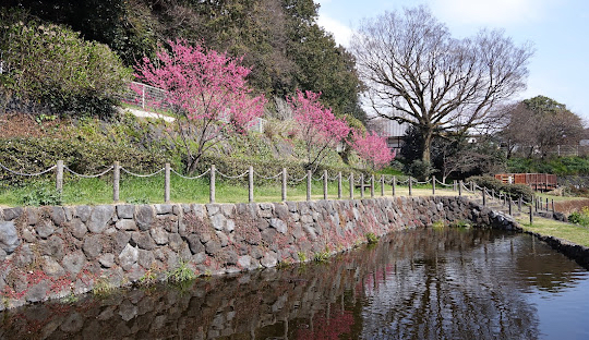 Yoroigafuchi Waterfront Park