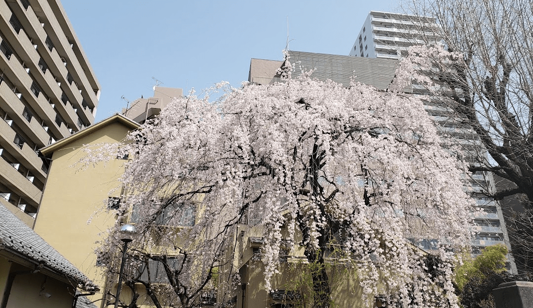 Zensho-ji Temple