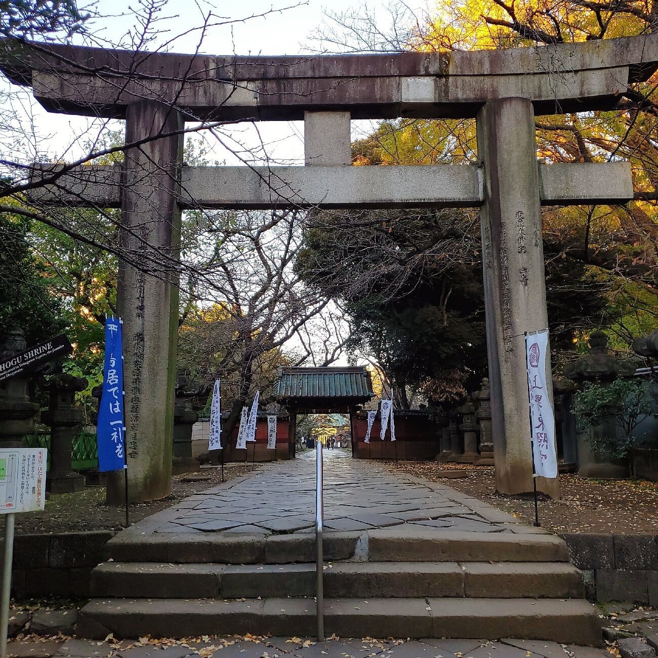 Autumn in Ueno Park & Fall Foliage Spots 2025: Ueno's 10 Best Places