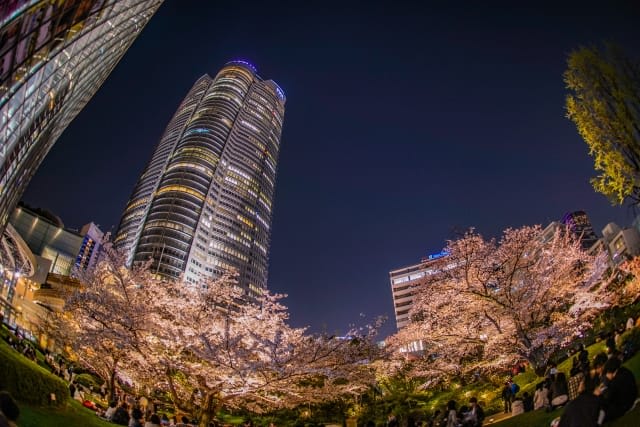 ginza-night-8.jpg