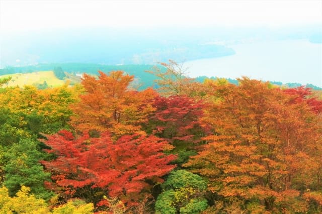 hakoneautumn2.jpg