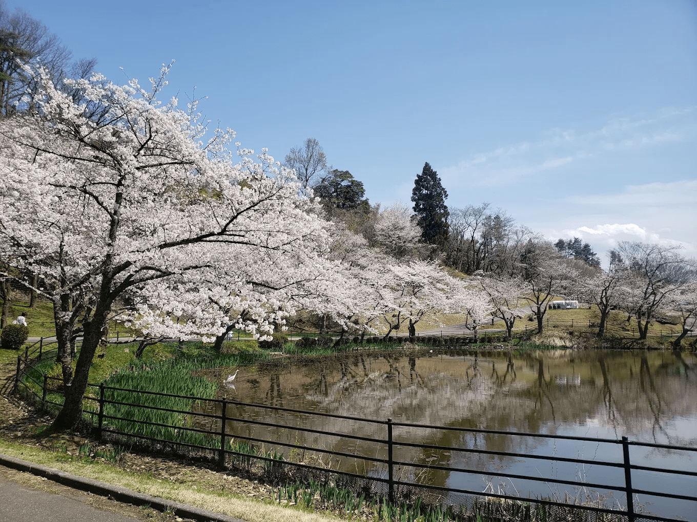 Okuutatsuyama Kenmin Park