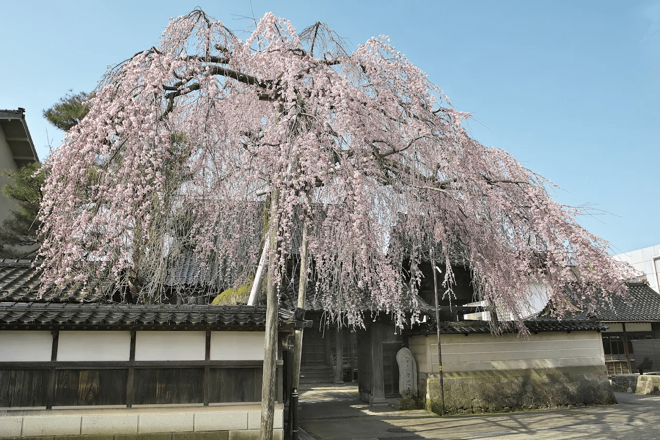 Kyouonji Temple