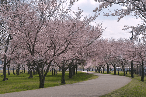 Kibagata Park