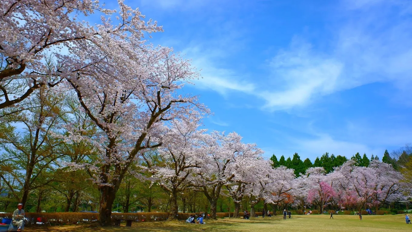 Ringyoshikenjojumoku Park