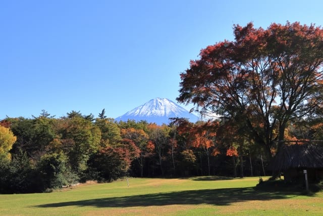 Saiko Wild Bird Forest Park