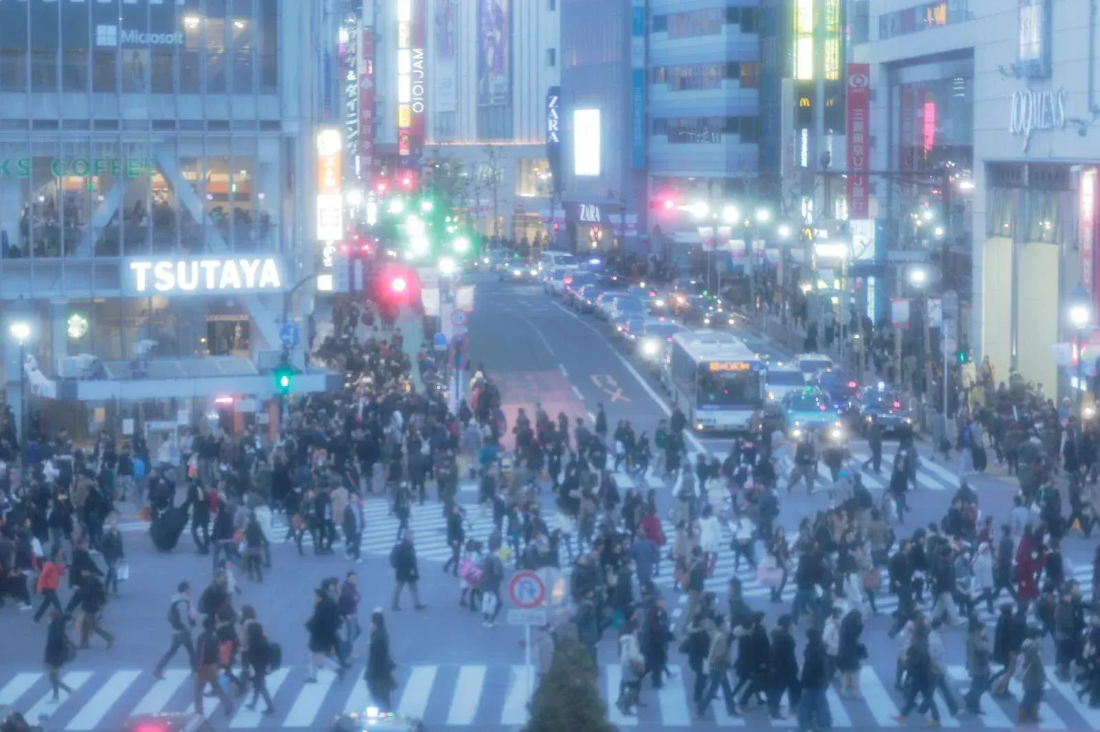 shinjuku vs shibuya4.webp