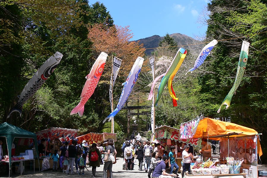 Kintoki Matsuri