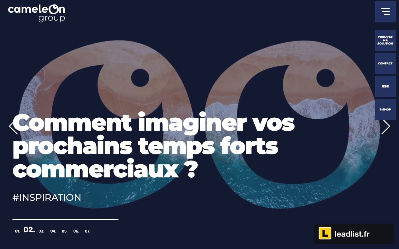 Page d'accueil du site de Cameleon Group