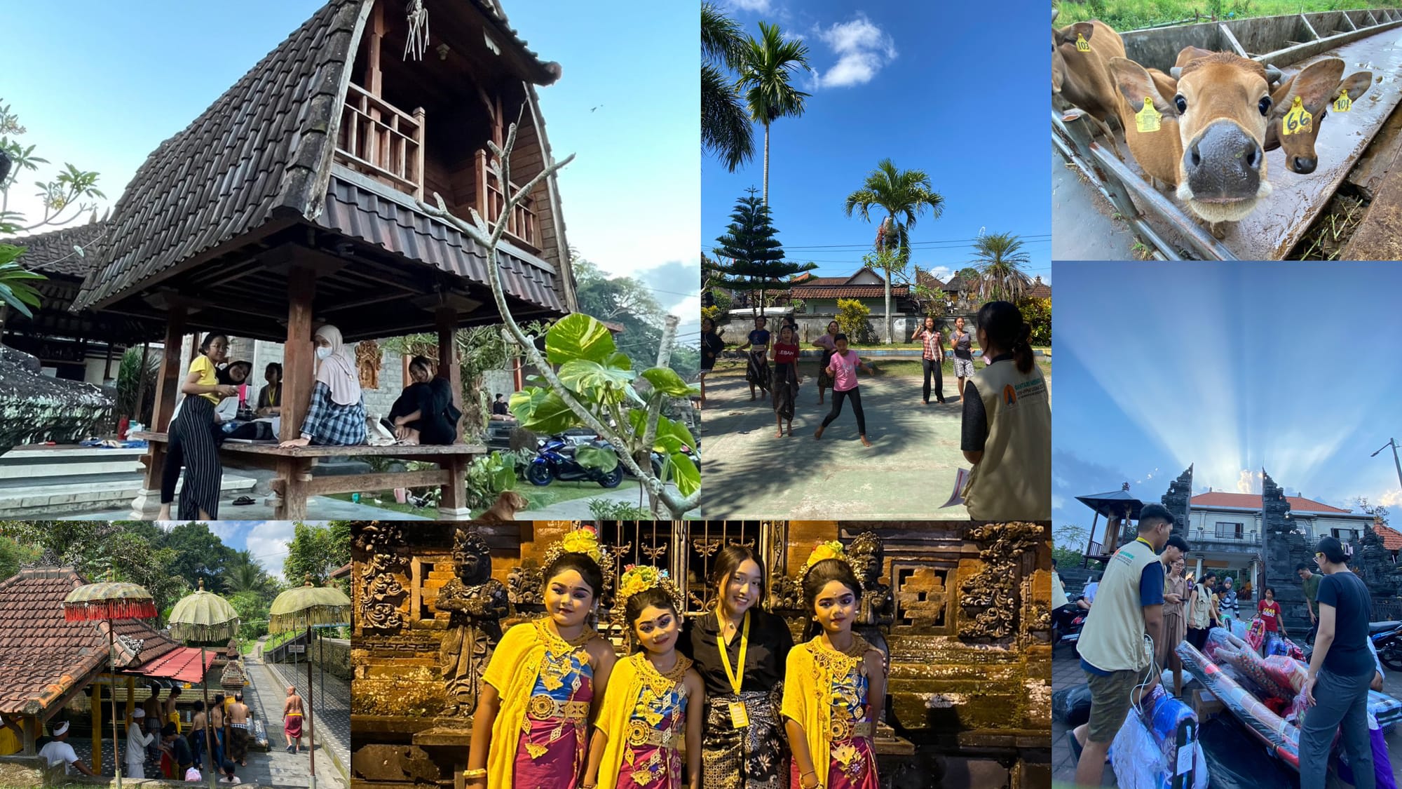 Bridging Gaps and Embracing Culture: My Time in Sobangan Village, Bali