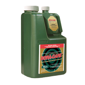 BoraCare with Mold-Care