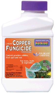 Bonide Liquid Copper Fungicide Concentrate