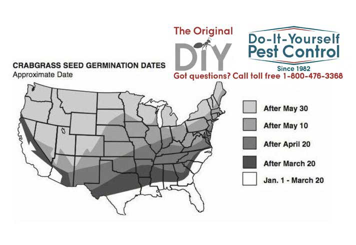 crabgrass seed germination rates